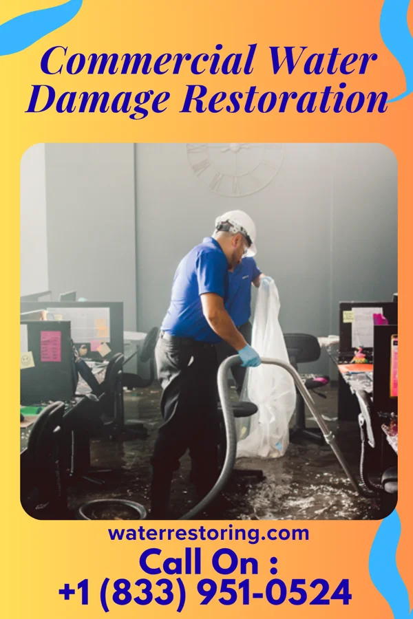 Commercial Water Damage Restoration in Big Stone Colony, MT