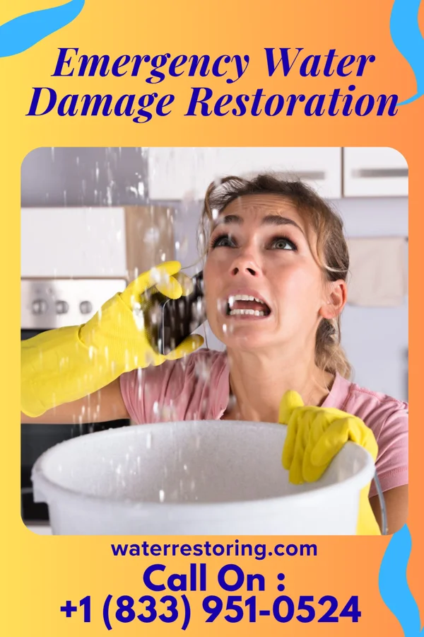 Emergency Water Damage Restoration in Big Stone Colony, MT